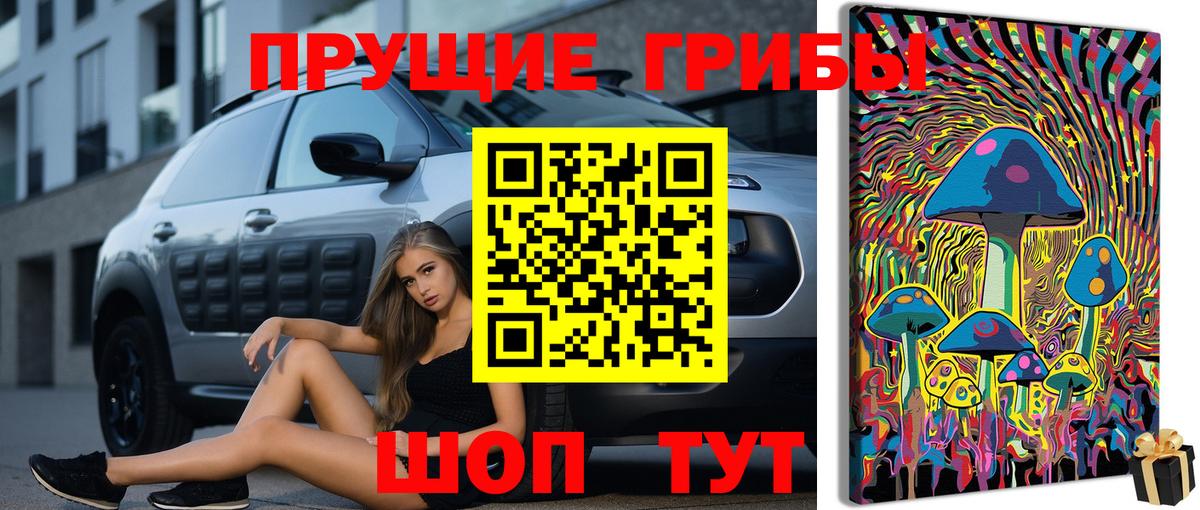 Бузулук  Псилоцибиновые грибы Magic Shrooms  Псилоцибиновые грибы ЛСД  Вход с VPN 